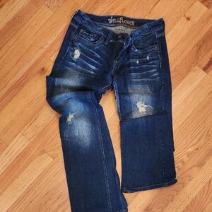 Wallflower Dark Blue Distressed Jeans